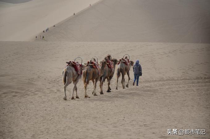 从新疆出发内地旅游省钱攻略,入疆旅游攻略