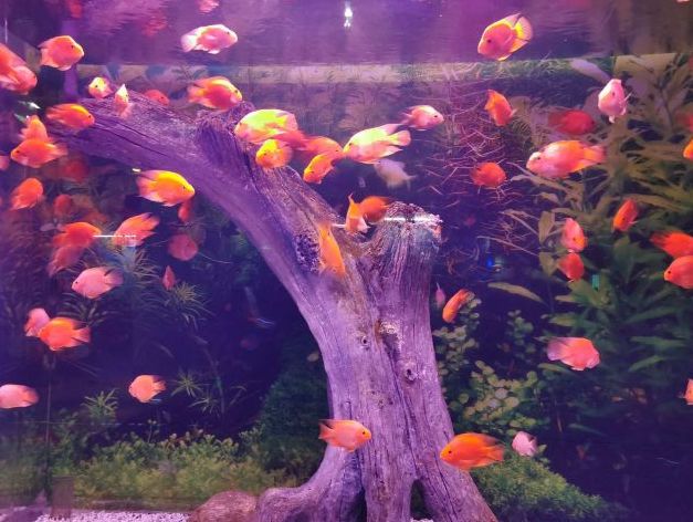 常州金鹰海洋世界门票,常州海洋金鹰海洋世界