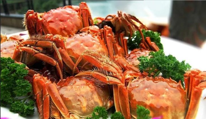 你不知道的13个螃蟹冷知识,螃蟹的冷知识有多可怕