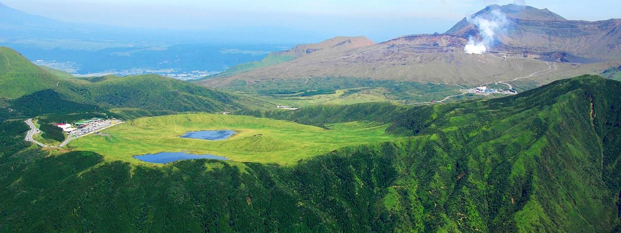 比熊猫小的熊有哪些,比大熊猫还濒危的小熊猫
