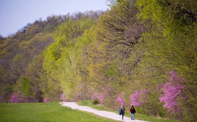 农村最近的山上有没有风景,乡村里都有一道特别迷人的风景