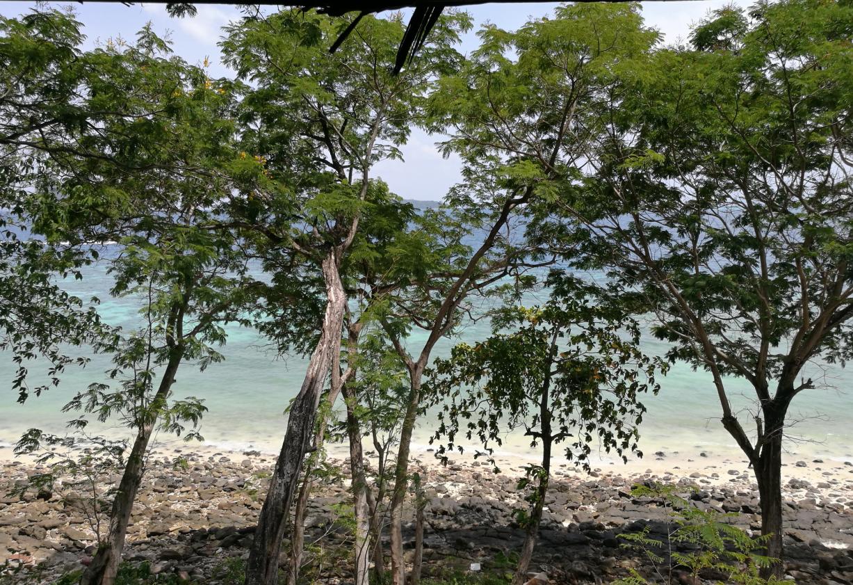 泰国普吉岛斯米兰岛旅游攻略,泰国旅游普吉岛的夏天皮皮岛浮潜