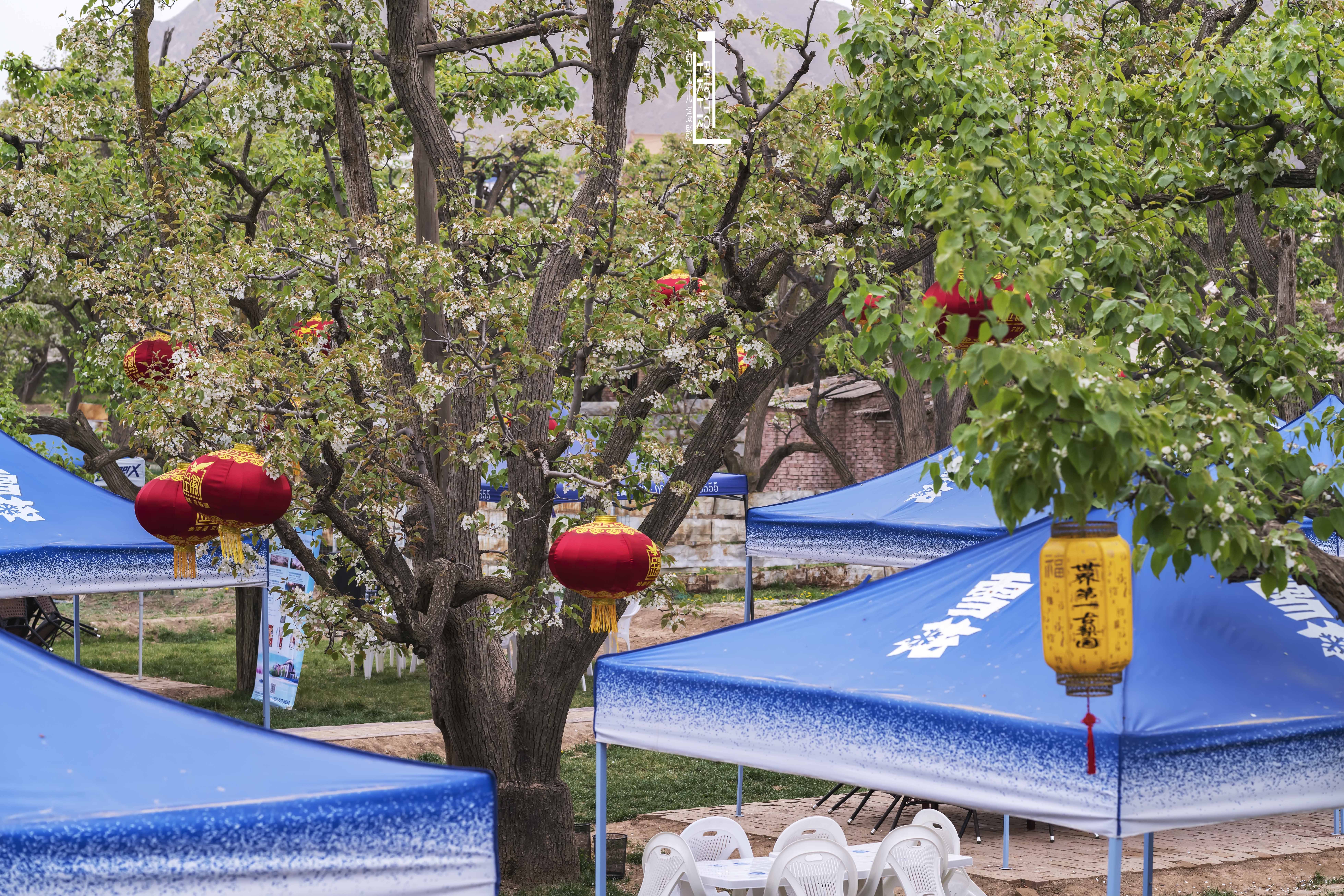 大西北戈壁滩怎么形成的,我国西北地区大戈壁滩形成原因