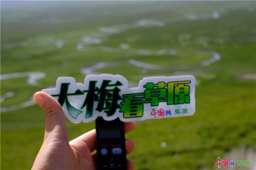 大梅看草原丨盛夏的甘南玛曲，美得脱俗惊艳