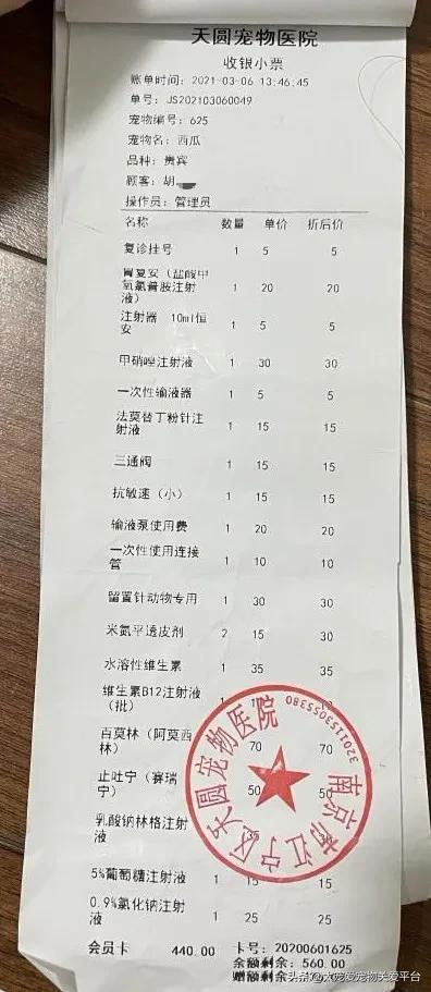 十二指肠溃疡丨太宠爱理赔案例南京天圆宠物医院