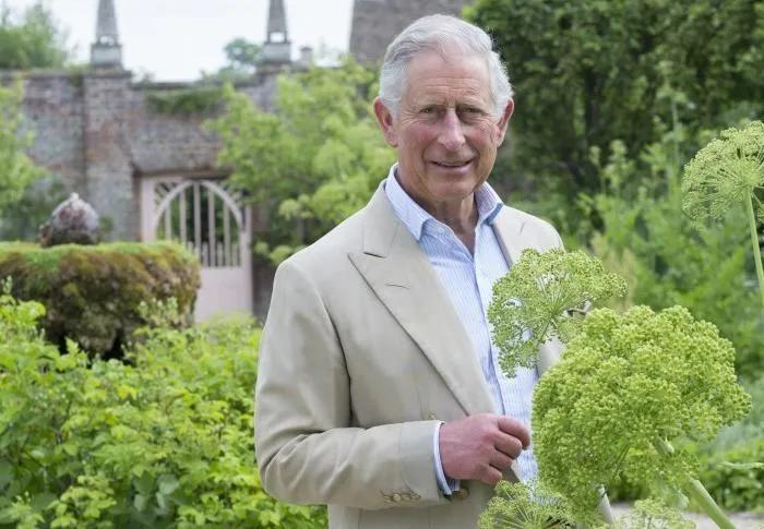 哪种面料的衬衫比较高端大气,除了西装还有什么衣服比较正式