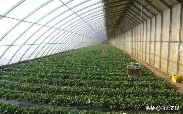 面临重茬，我们怎么办？（实用好文）