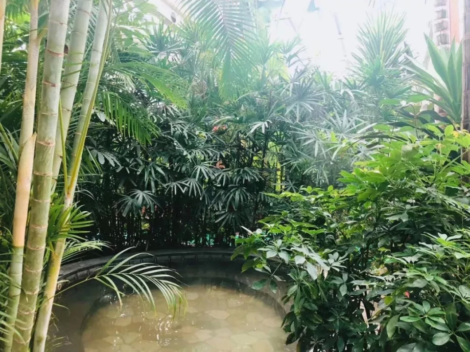 北京京郊神秘岛屿,北京神秘小岛