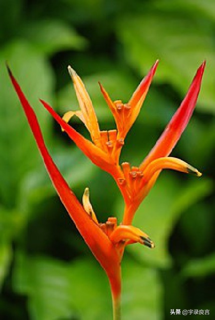 句句入骨的人生感悟个性签名,简短经典精辟走心的个性签名