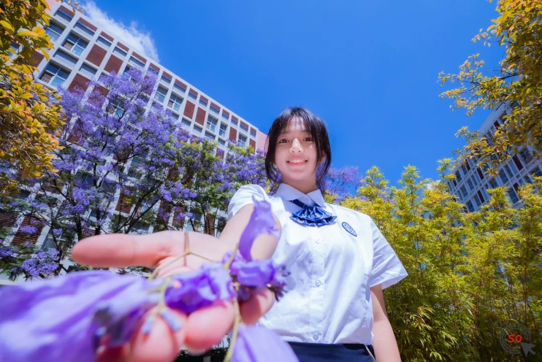 校园|遇见.初夏属于十中的紫色烂漫