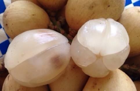 世界上罕见的十大水果,世界上罕见水果10个品种