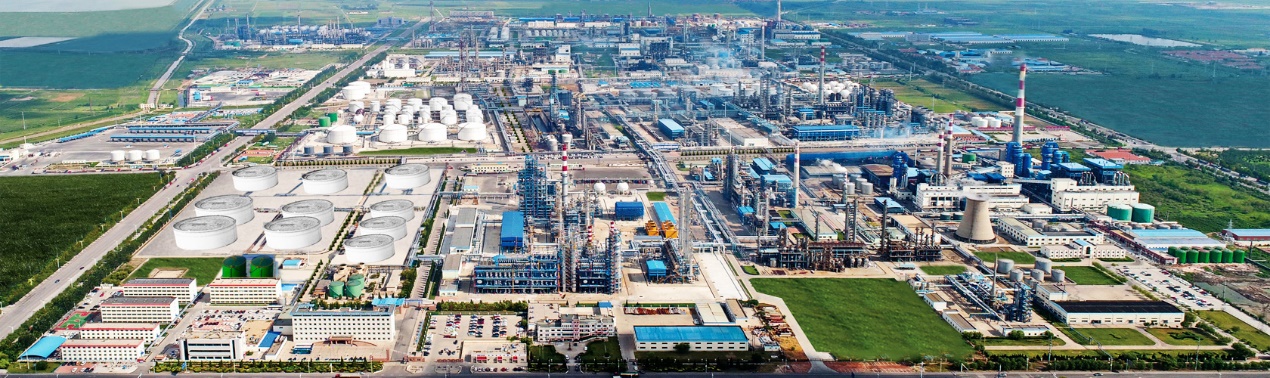 东营16家企业上榜山东民企100强,2017年东营企业上榜民营企业500强