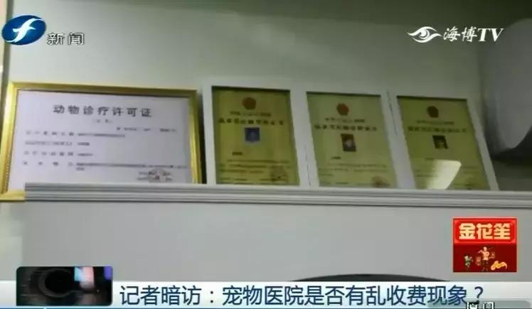 鍝瀹犵墿鍖婚櫌姝ｈ涓嶄贡鏀惰垂,鏇濆厜瀹犵墿琛屼笟榛戝箷