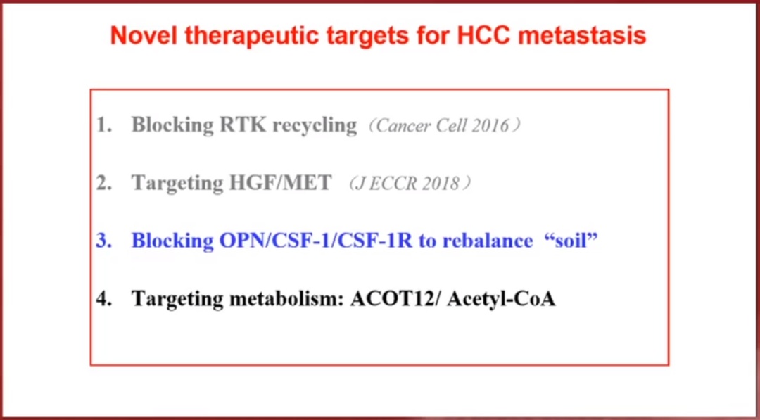 鑲濈粏鑳炵檶鐨勫厤鐤不鐤楁柊杩涘睍,鑲濈粏鑳炵檶娌荤枟鐨勭爺绌舵柊杩涘睍