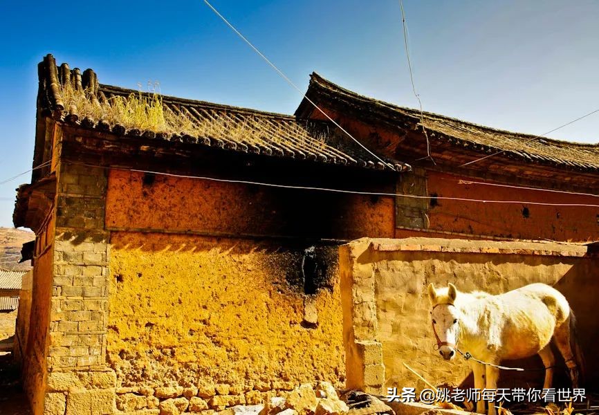 网红打卡地十分钟看完景点,网红打卡地风景真的很美