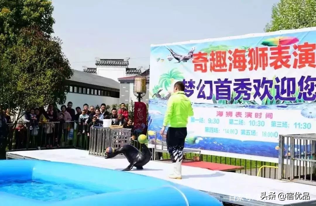 苏州太湖花海主题公园,太湖花海游乐场