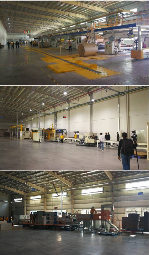 投资个智能纸箱厂多少钱 (投资大型纸箱厂前景如何)