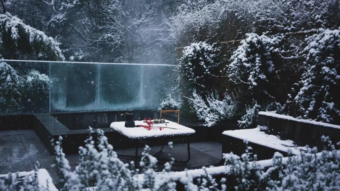 森林秘境的温泉,森林里野奢温泉度假酒店下午茶