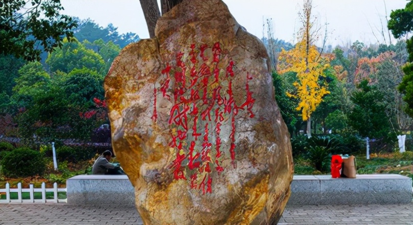 韶山匆匆管中窥（2019.7）