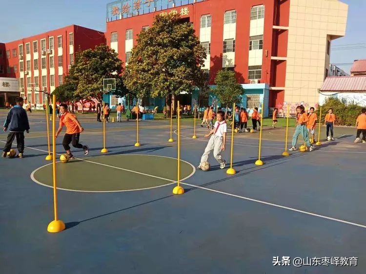 华燕小学落实双减政策,双减政策小学实施方案