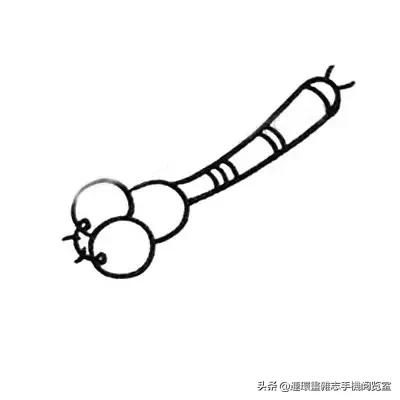 可爱的小昆虫简笔画,我认识的昆虫简笔画