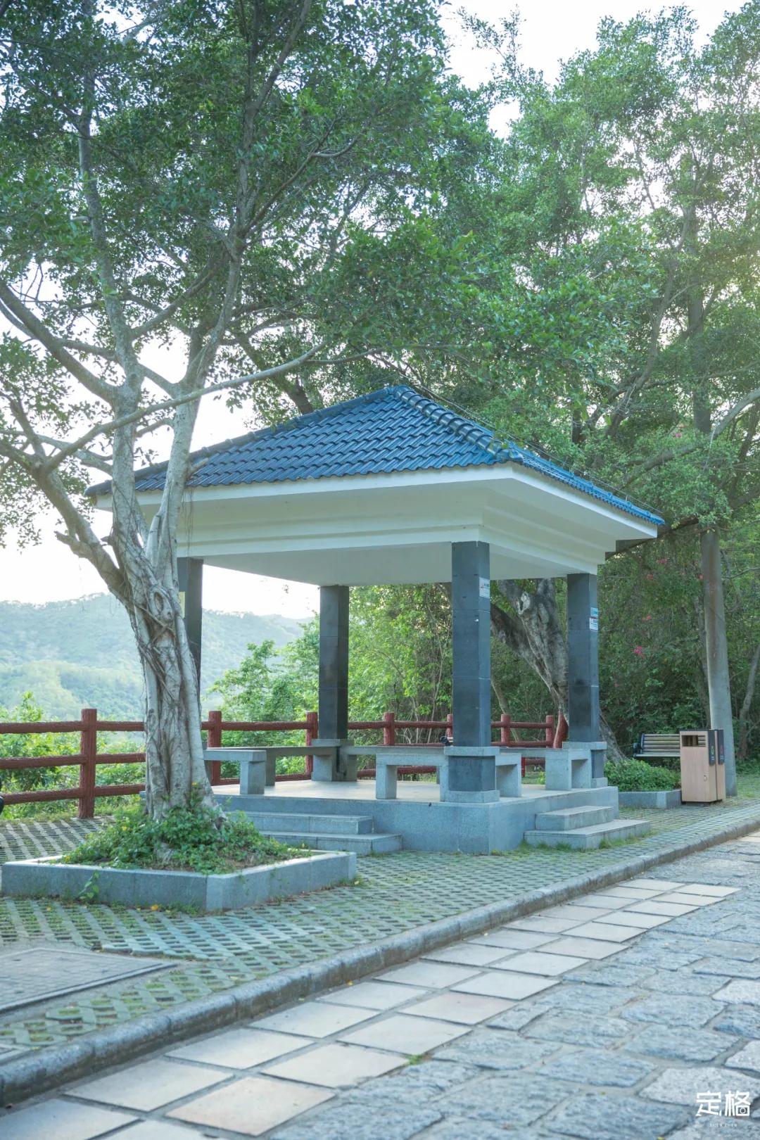 深圳梅林水库有山溪吗,深圳梅林水库在哪个区