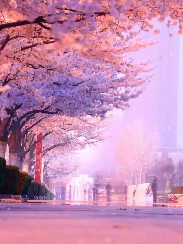 来淄博要做的十件事,来潍坊需要什么