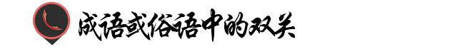 谐音双关广告语的使用建议,双关语广告语