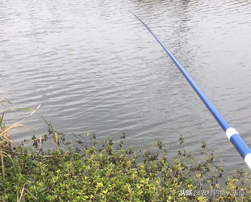 冬季钓鱼不打窝技巧,野钓不空军技巧