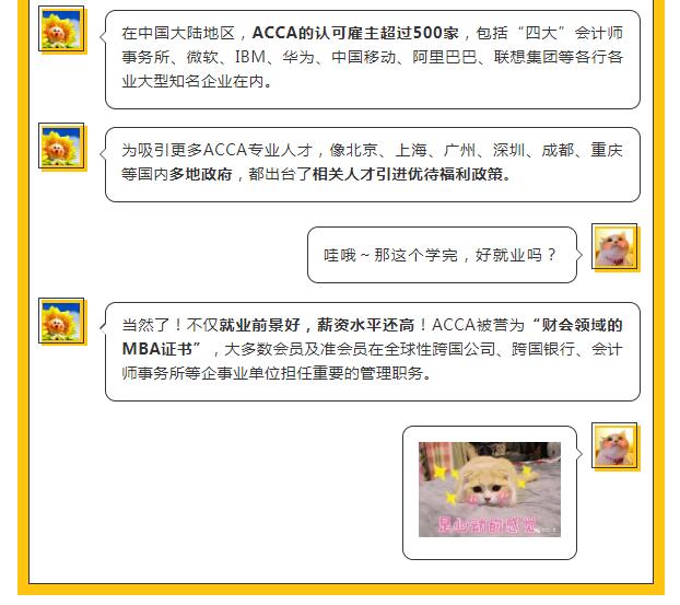 会计学acca就业前景,毕业后收入高的文科专业