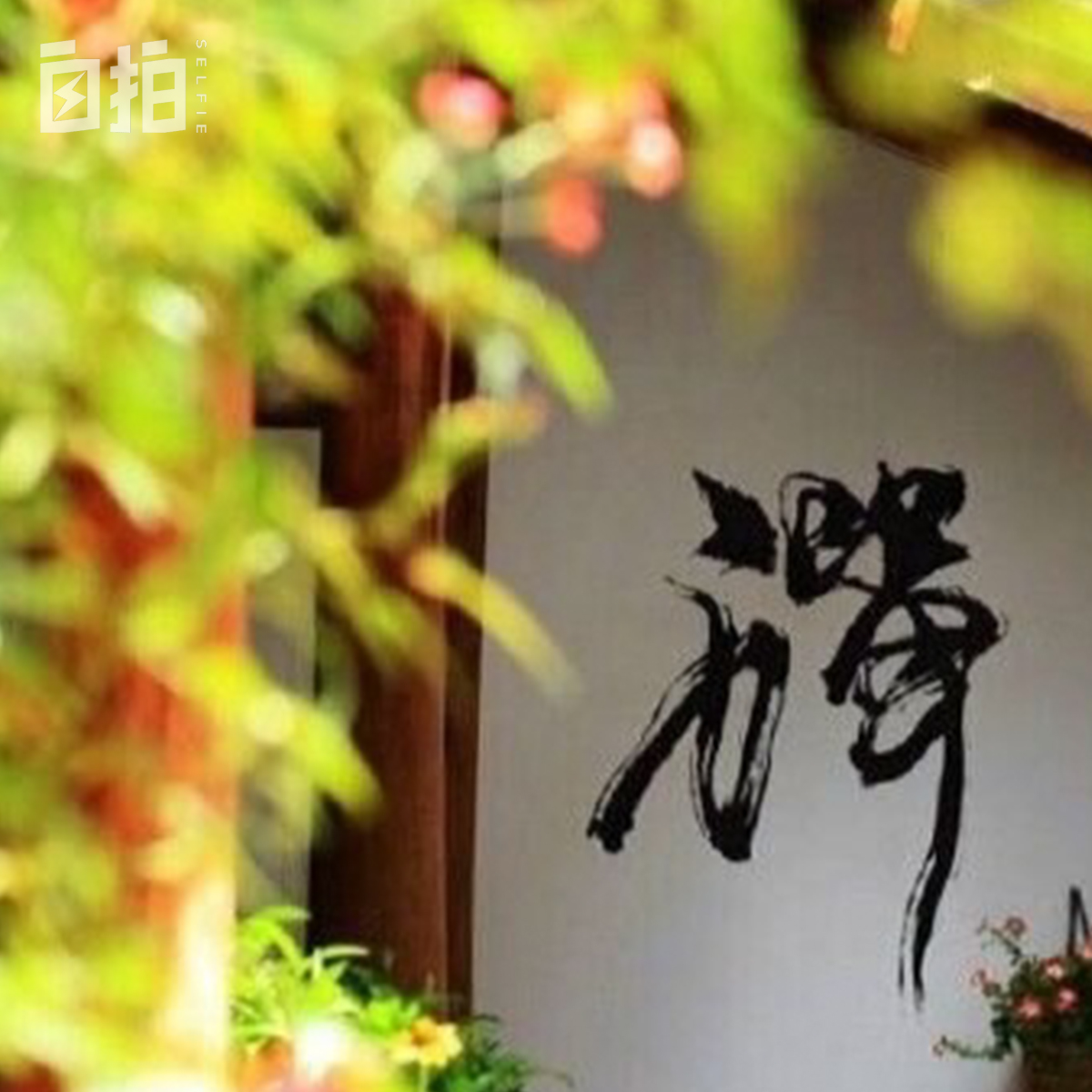 我在部队大院里长大,部队大院里长大的我