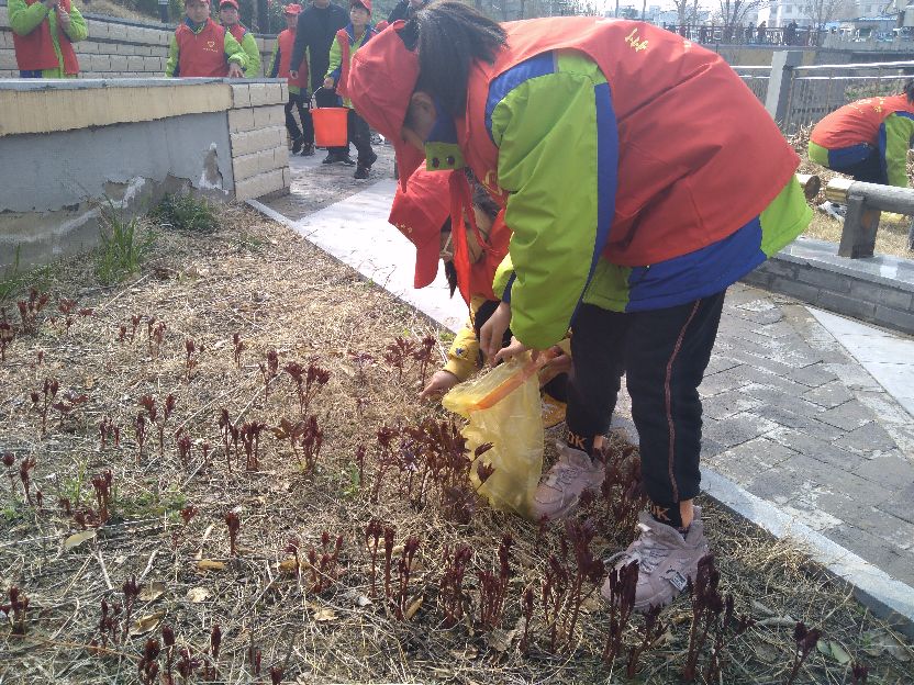 绿化环境美化家园的图片,绿化环境美化家园课件