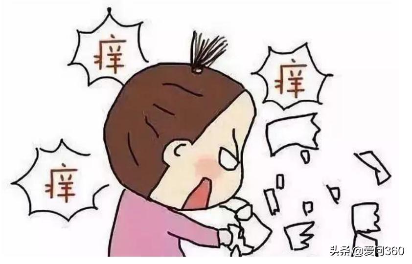 为什么有湿气身上会痒,为什么湿气重身体会痒