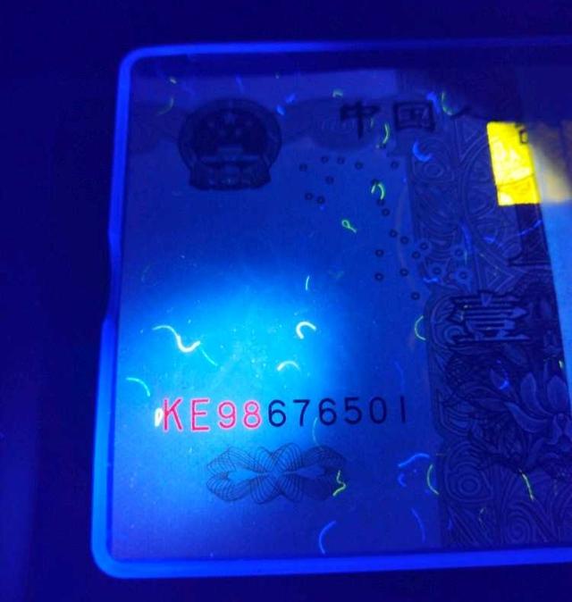 991大叶兰的闪光点