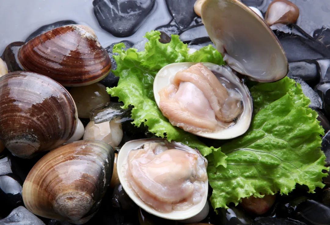 蛤蜊、蛏子、毛蚶、蚬子，那些好吃的小贝壳，今天一次搞清楚
