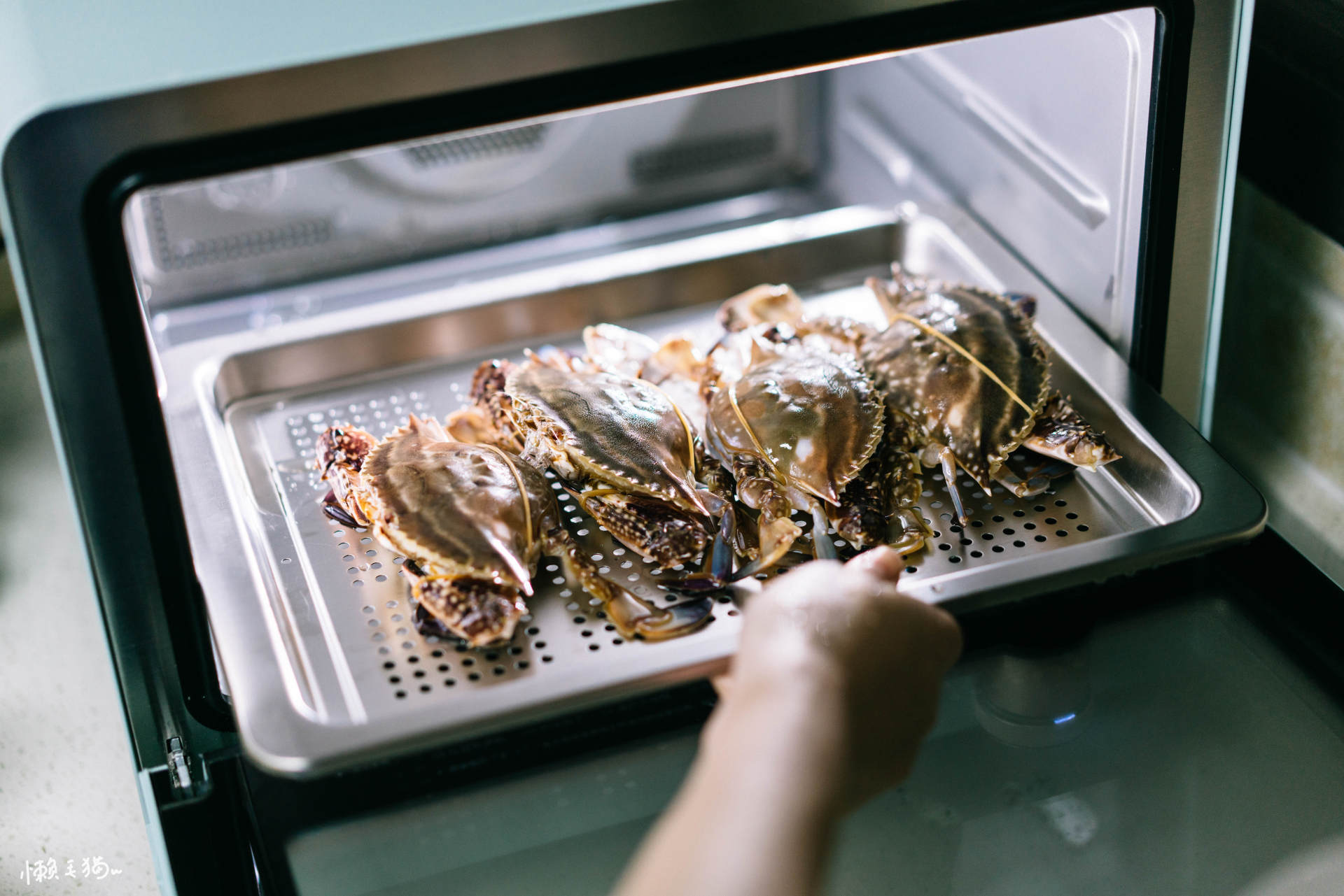 “蒸”香预警！厨房更新要有它，美的S5mini鸿蒙燃卡料理炉