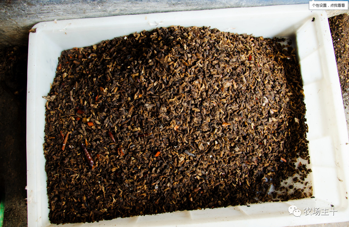 从沿街乞讨到身家亿万，“特养教父”32年的农业路堪称一部传奇史