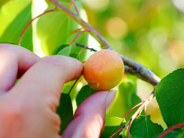 儿时记忆终生难忘,值得回味儿时的记忆
