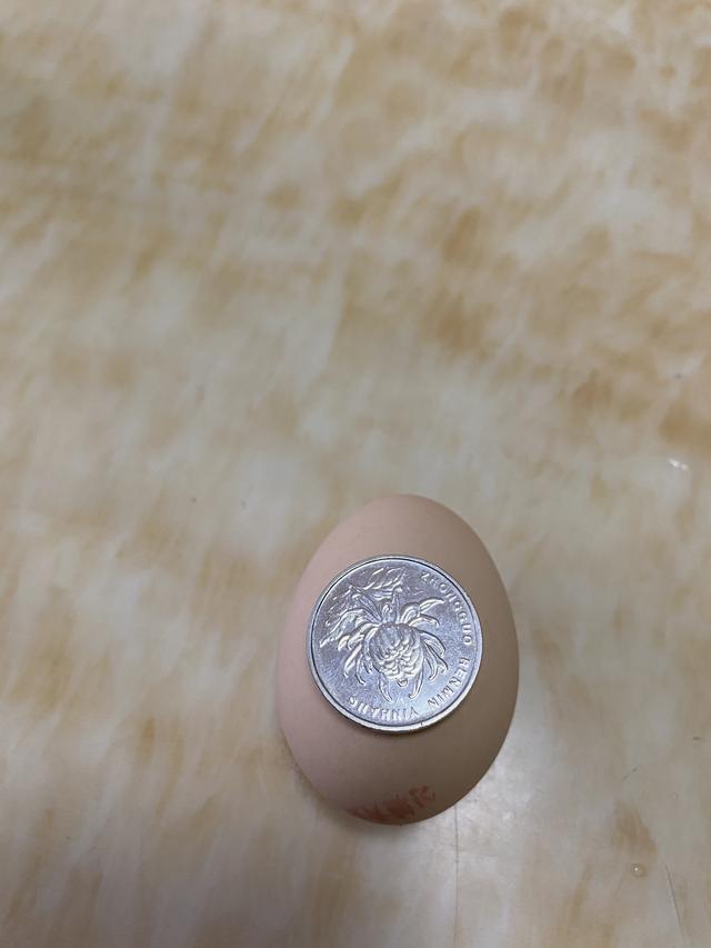 电热杯可以煮鸡蛋吗视频,便携式烧水杯可以煮鸡蛋吗