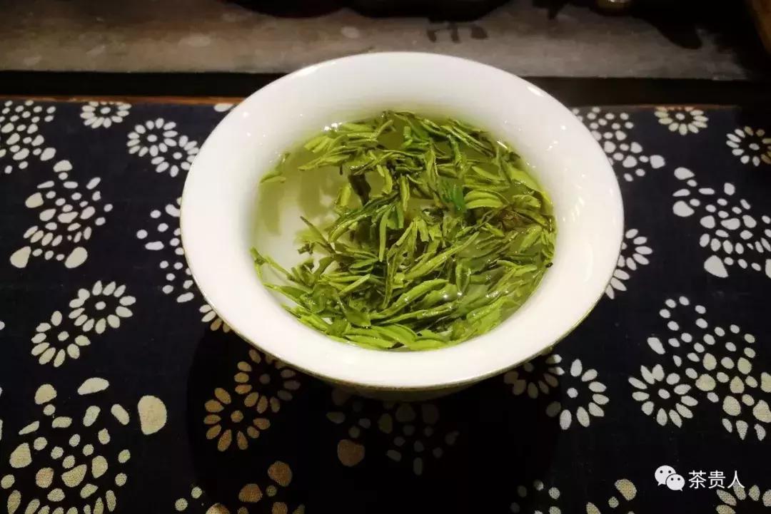 茶眼看陕西最新视频,茶眼看陕西