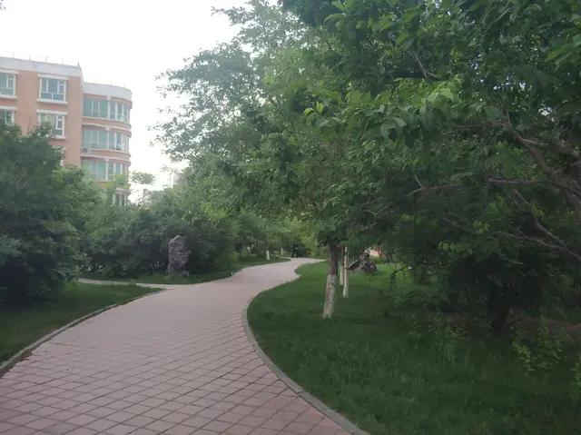 绿地城二期绿化乌鲁木齐,乌鲁木齐中海万锦公馆绿化环境