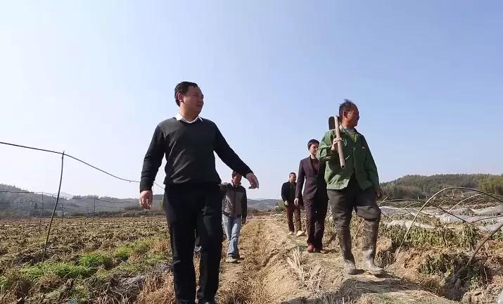 丰收土豆节,丰收节土豆