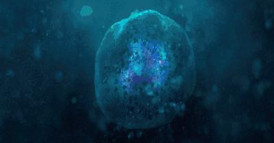 几万一针的干细胞再生,干细胞治疗一针需要多少钱