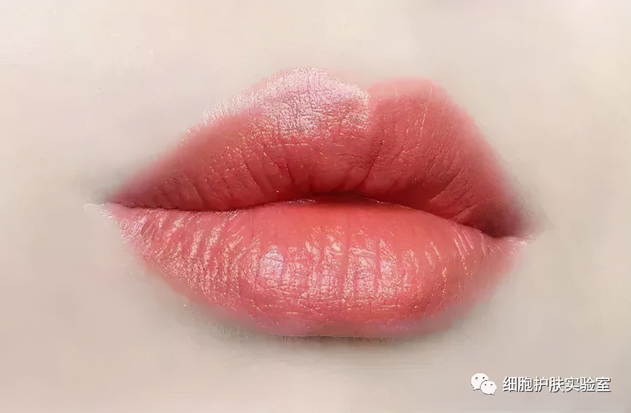 正常唇纹和皱纹的区别,为什么不建议纹渐变唇纹