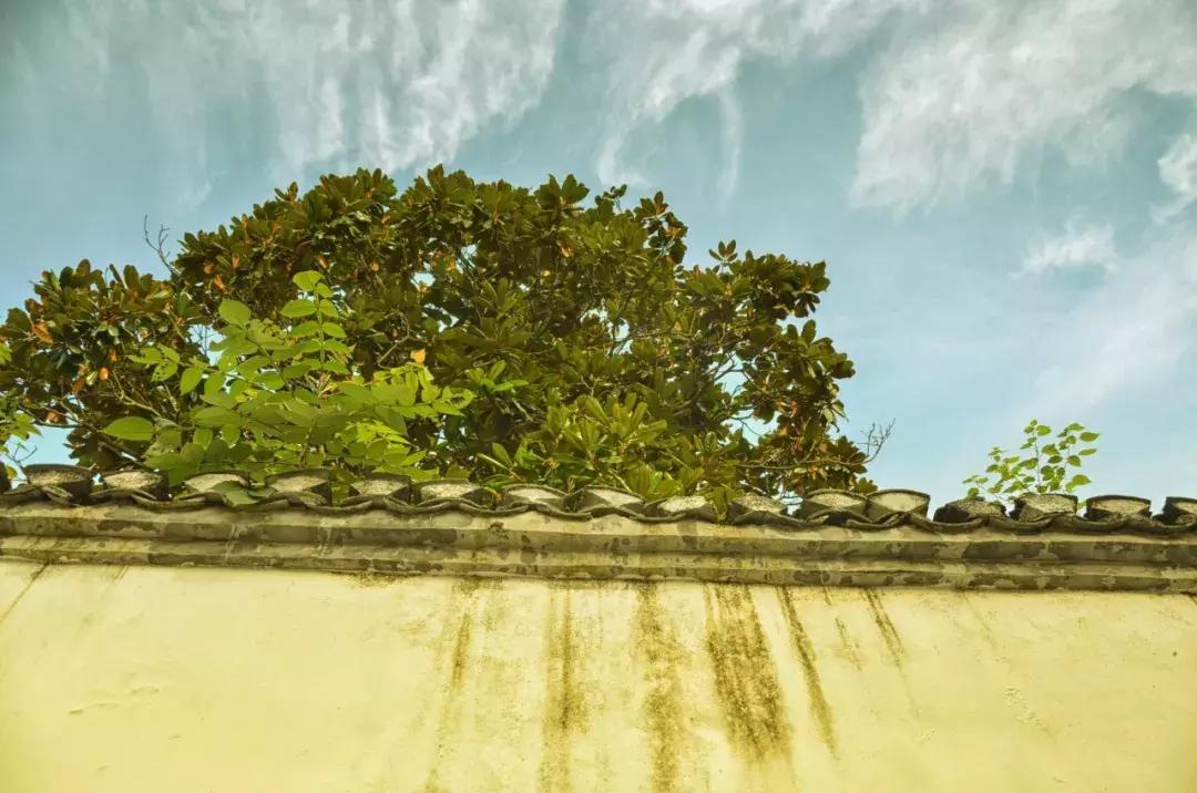 广东最美乡村自驾游攻略,广东最美乡村自驾游路线