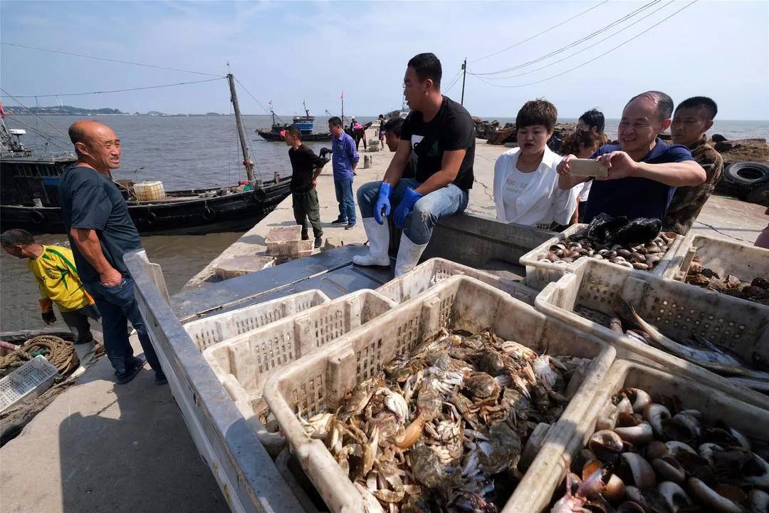 东港海鲜鱼仔店,东港海鲜批发市场