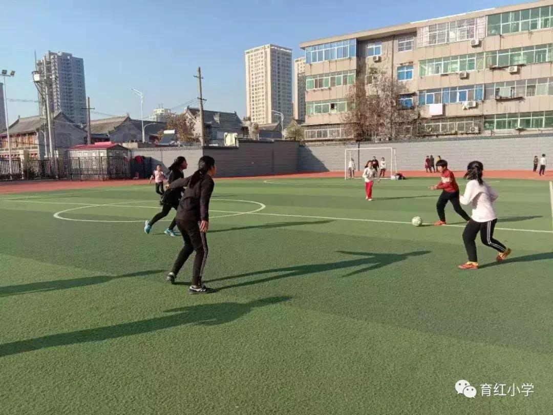 育红小学足球比赛,育红小学2024运动会