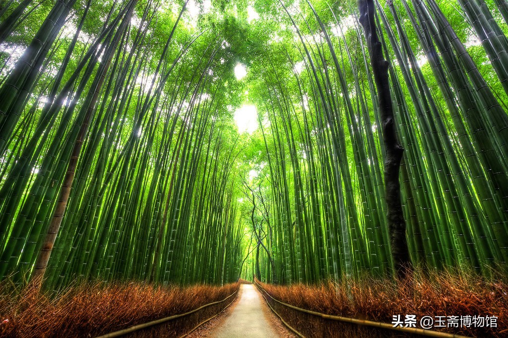 竹根雕刻精品欣赏,中国顶级根雕艺术