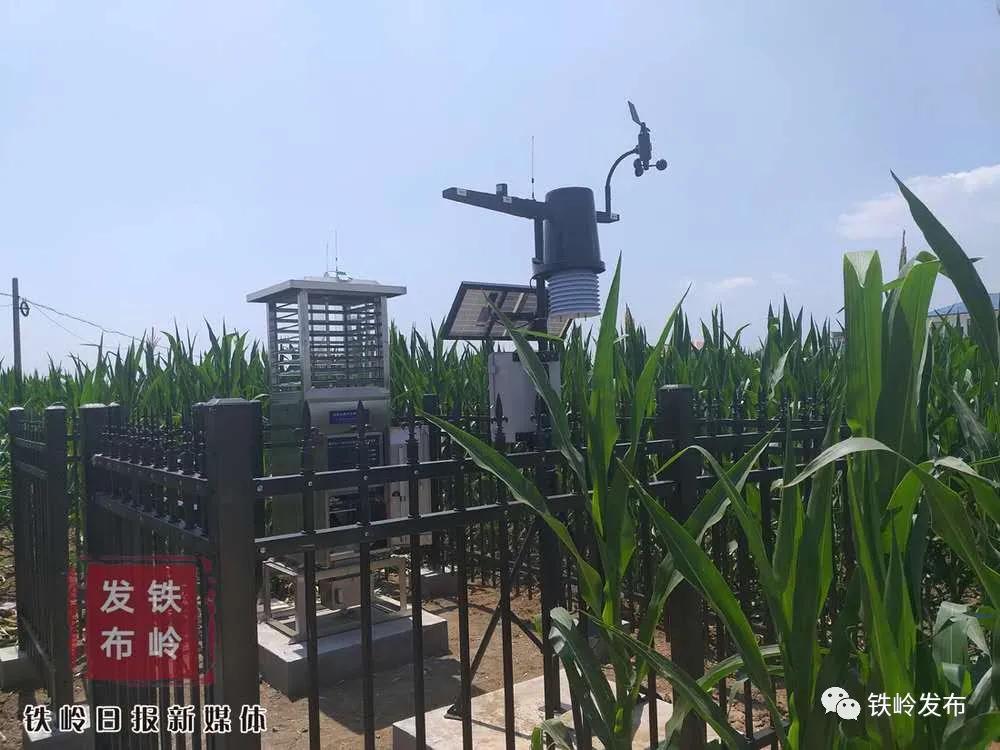 铁岭新闻20191011,铁岭市新闻今日头条