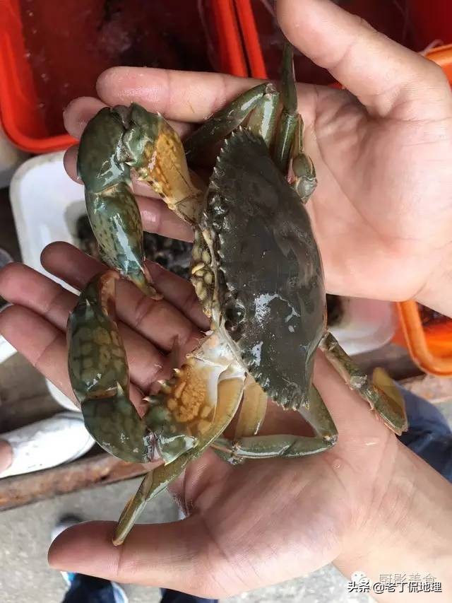 中国海鲜地图,中国海鲜最多地区